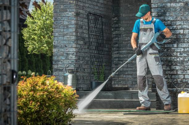 Animal Enclosure Cleaning in Vernon Valley, NJ